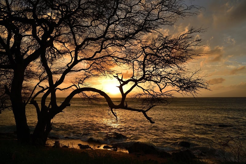 Maui, Hawaii